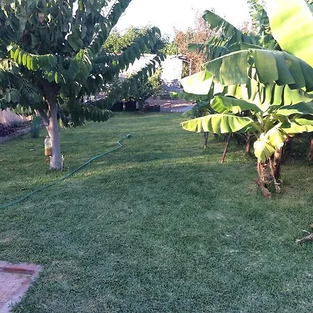 Cortijo De Mama *